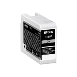 Epson T46S7 - gris - original - cartouche d'encre Epson - 1