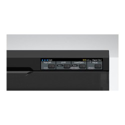 Epson LQ 690IIN - imprimante - Noir et blanc - matricielle Epson - 13
