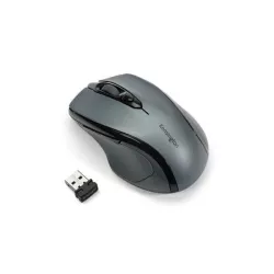 Kensington K72423WW mice