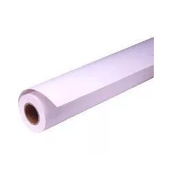Epson Pap Photo Premium Glacé (250) 16" (0,406x30,5m)