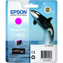 Epson T7603 cartouche d'encre magenta vif d'origine